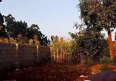 Sexy Desi Twink Stretching Compilation