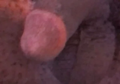 Wanna Get Fucked and Breed??