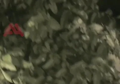 Amateur Boy Sucks a Guy He Found Jerking-off in the Street