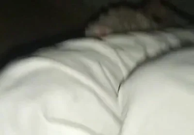 Night Time Vlog It Home and. Sex Girl Friend