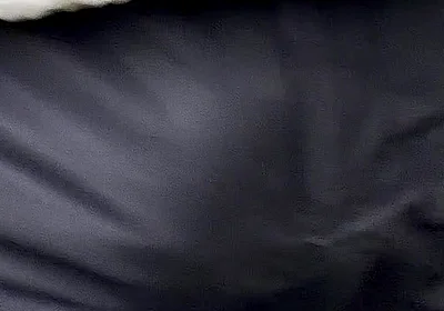 It Was One Morning Where I Needed to Wear an Underwear with a Suits Pants