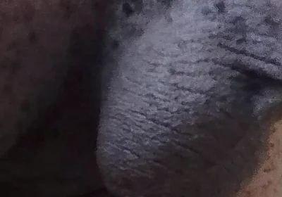 Come See My Hairy Huge Balls