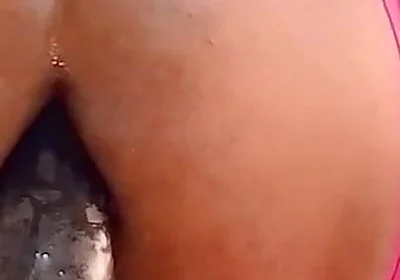 Succulent Toy!