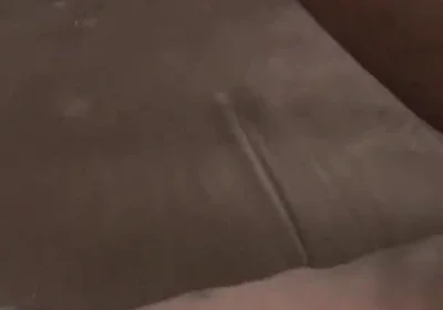 Stepdaddy Champ's Got a Big Ole Dick for You to Play