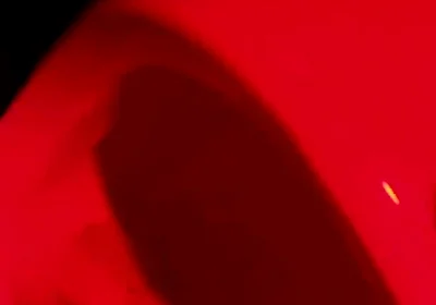 Compilation of Amateur Pissing in Different Kinds of Public Toilets