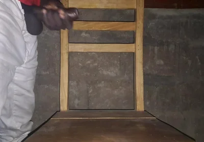 A Nice Black Cock in Need of a Good Blowjob