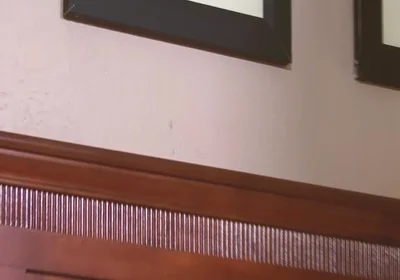 Gay Suckers Scene-1_twink Cherub Fucked by Two Colleagues in Threesome