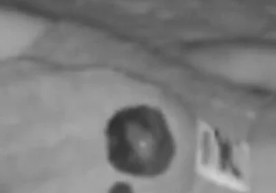 Compilation of 2 Amateur Smooth Boy's Wet Dreams Caught on Cam