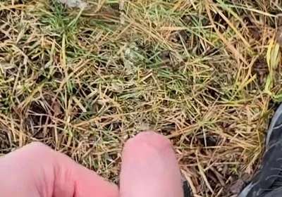 A Bit Risky Peeing - POV Outdoor Male Pee During a Nature Walk