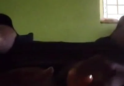 Hardcore Ass Fucking in Vegetable