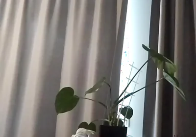 Home Masturbation