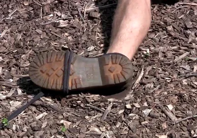 Marshall - Chapter 1