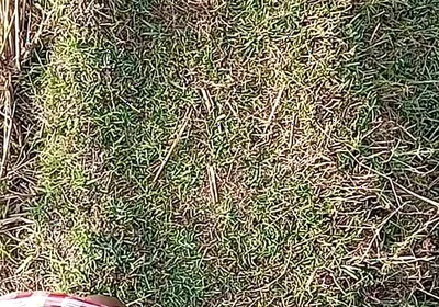 Gay Boy Outdoor Night Pussy Hole Sucking