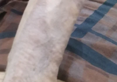 Handsome Boy Masturbation
