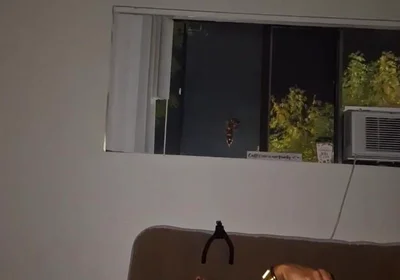 Late Night Dildo & Wank Sesh