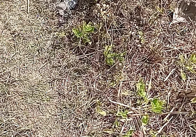 Outdoor Fucking Anal and Pussy Gay Boy