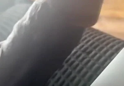 Stroking My Big Black Cock Watching Porn