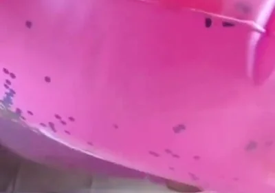 Beautiful inflatable swimrings in my bed