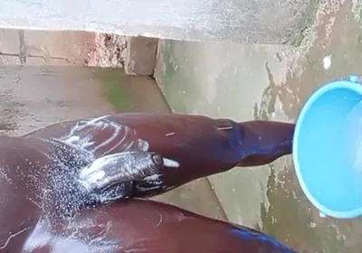 Wow Big Dick Workouts Experience