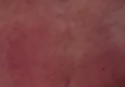 Big Daddy Loves to Breed