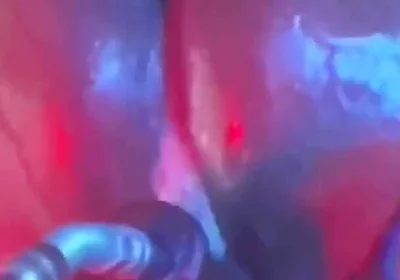 Intense Verbal Play Ahead...