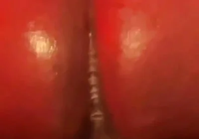 Riding Tf Out of the Phatrabbit Replica