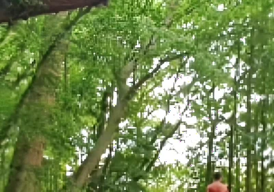 Compilation Outdoor Nudity, Masturbation, Pee & Ass Images