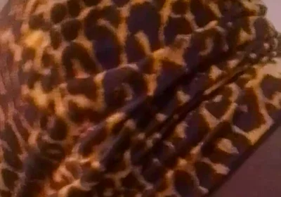 Twerk and Seduce Him Before Fucking