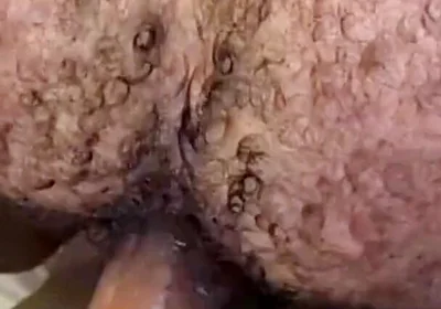 Que Rico Este Culo Peludo Y Tragón