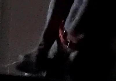 Horny Xmas Deer Started Masturbating