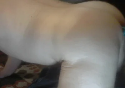 Thrusting Dildo Fucking My Wet Hole