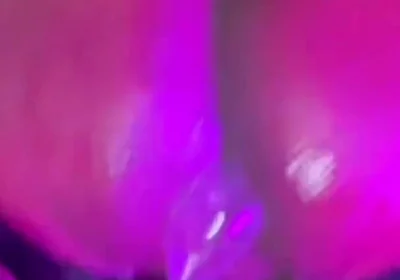 Slap Happy Fuck