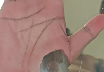 Further Experiments with a Bucket and Clear Plastic Have Yielded Cum