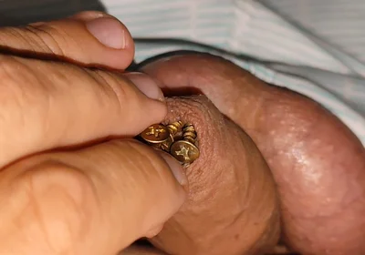 Hammering How Many Screws the Penis Can Hold.
