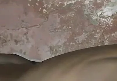 Humping My Bed Is a Sexual Desire