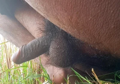 My New Hot Dick's Video in the Jungle.