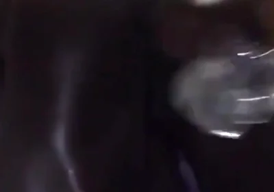 Black Breeders Adventures 228