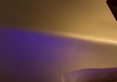 Raw Otter Dildo Fuck & Cum