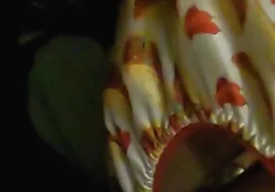 Satin taco thong bulge play jerk & cum