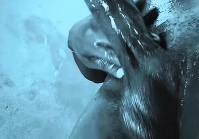 Stepdaddy Loves to Make You Watch as He Nuts in Your Mouth Like a Slut