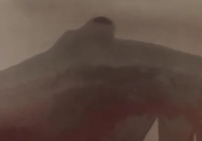 Essa Verticalargument4