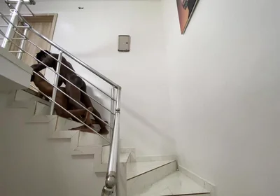 It’s Has Been a While