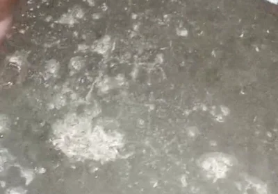 Indian Boy Black Dick Masturbate and Cum