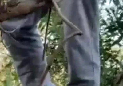 Hot Amateur Boy Sucks and Rims in the Woods