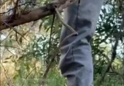 Hot Amateur Boy Sucks and Rims in the Woods