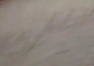 New Cum Video with Vibrating Dildo in My Ass