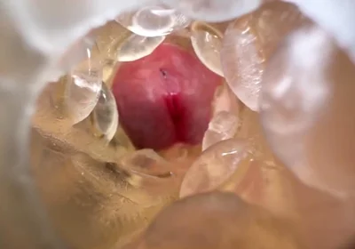 Huge Creampie with Internal View While Fucking Fleshlight, Moaning and Dirty Talking