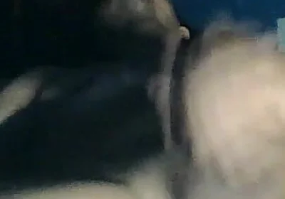 Tremendous Stick That You Deserve Like This Naked