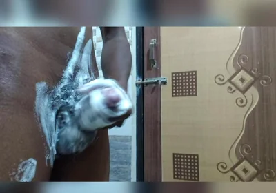 Mid Night Masterbrution