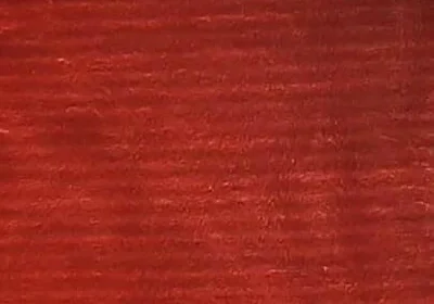 Playing with My Feet and a Dildo